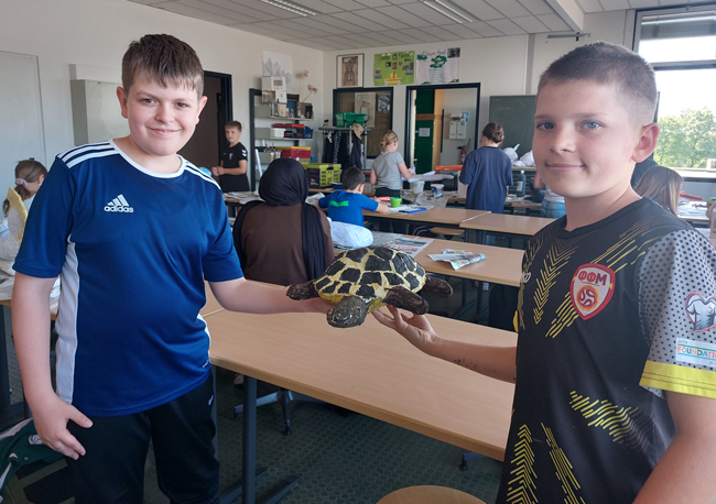 Zwei Jungen präsentieren ihre fertige Schildkröte mit braunen Flecken auf einem gelben Panzer