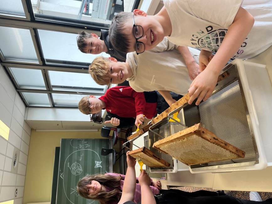 Schüler leeren Honigwaben in einem Klassenraum