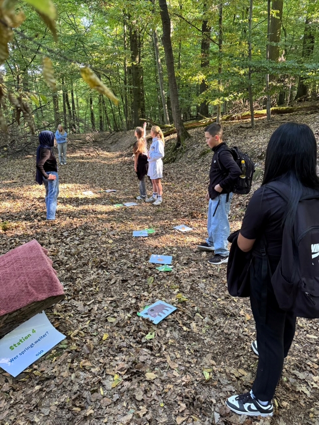 Schüler im Wald versuchen die Schilder auf dem Waldboden zu ordnen