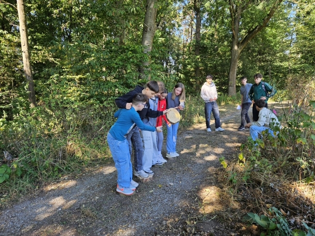 Schüler stehen dicht nebeneinander auf Baumscheiben auf einem Waldweg und reichen sich eine weitere Baumscheibe zu