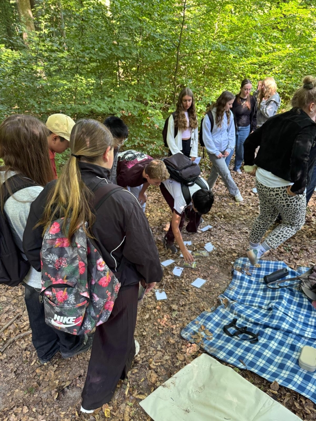 Schüler lösen eine Aufgabe im Wald